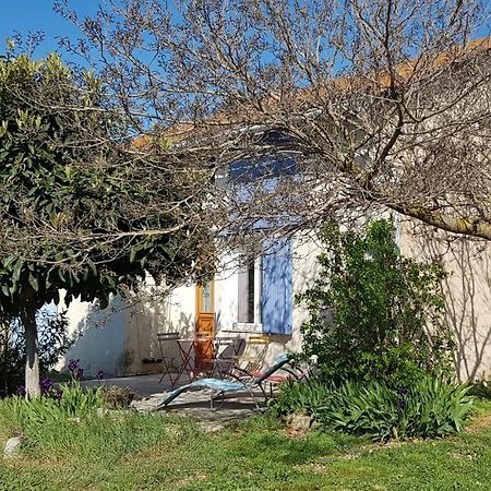 Petite Maison Refaite A Neuf Dans Mas Du 19Eme Siecle Arles Buitenkant foto