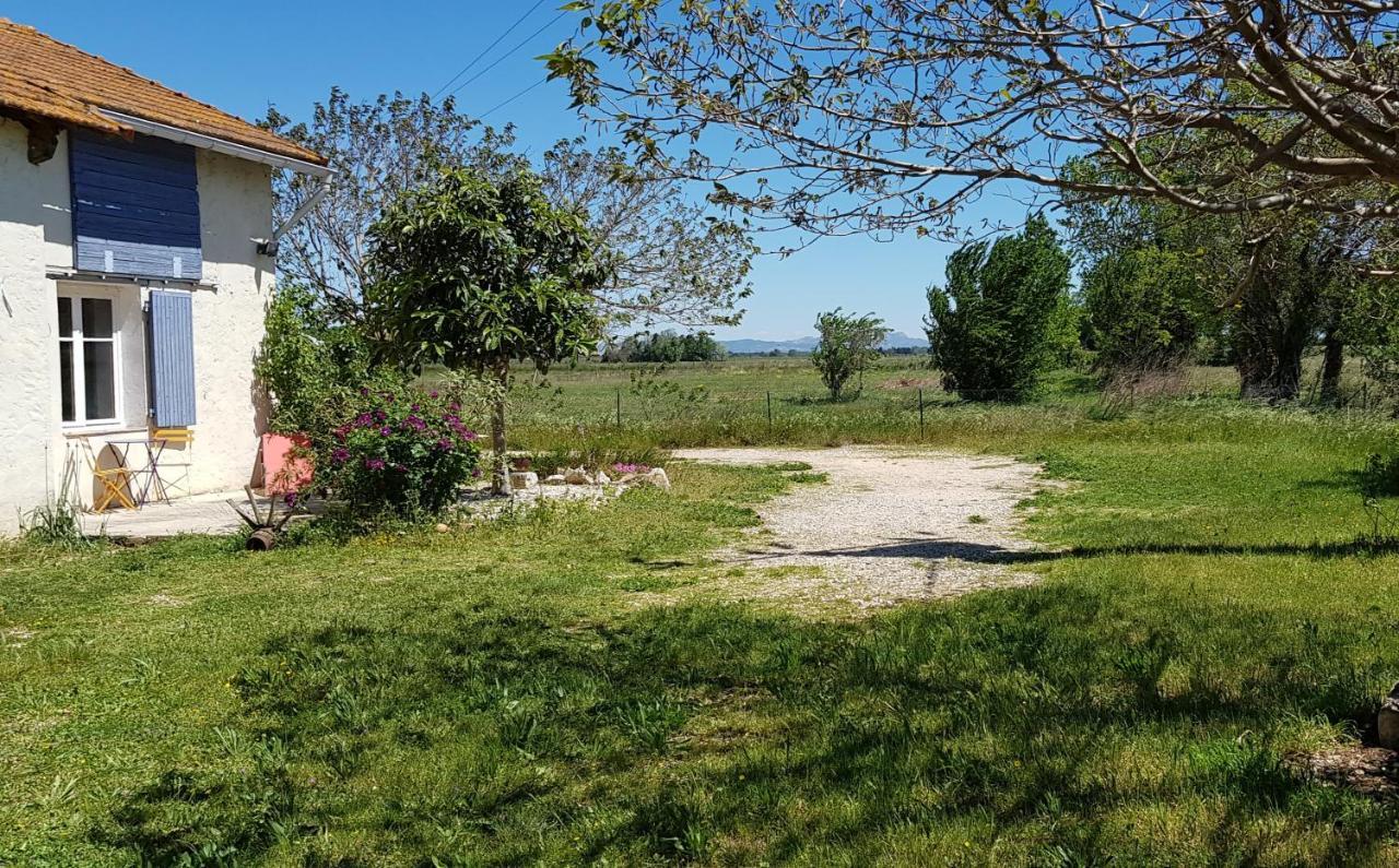 Petite Maison Refaite A Neuf Dans Mas Du 19Eme Siecle Arles Buitenkant foto