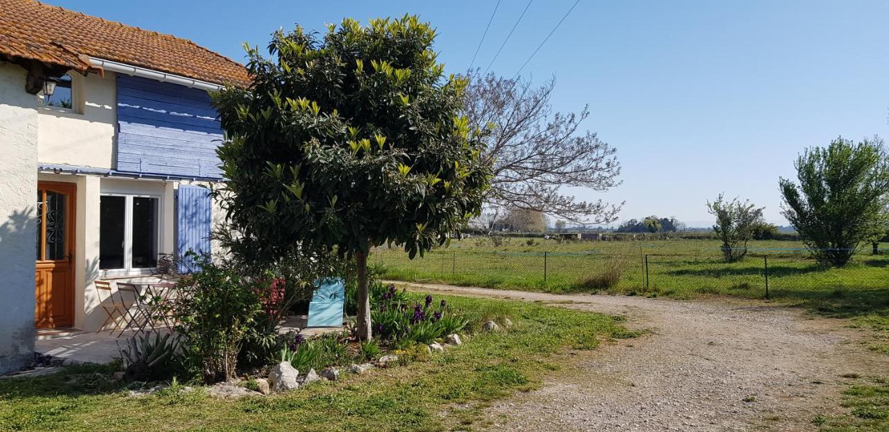 Petite Maison Refaite A Neuf Dans Mas Du 19Eme Siecle Arles Buitenkant foto
