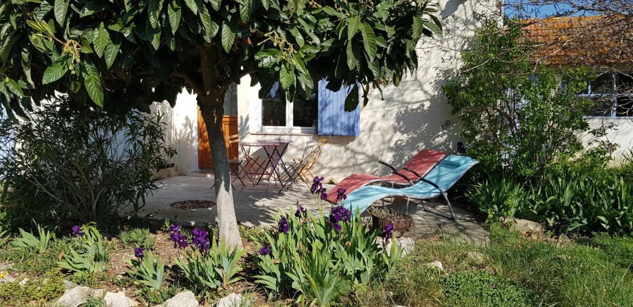 Petite Maison Refaite A Neuf Dans Mas Du 19Eme Siecle Arles Buitenkant foto