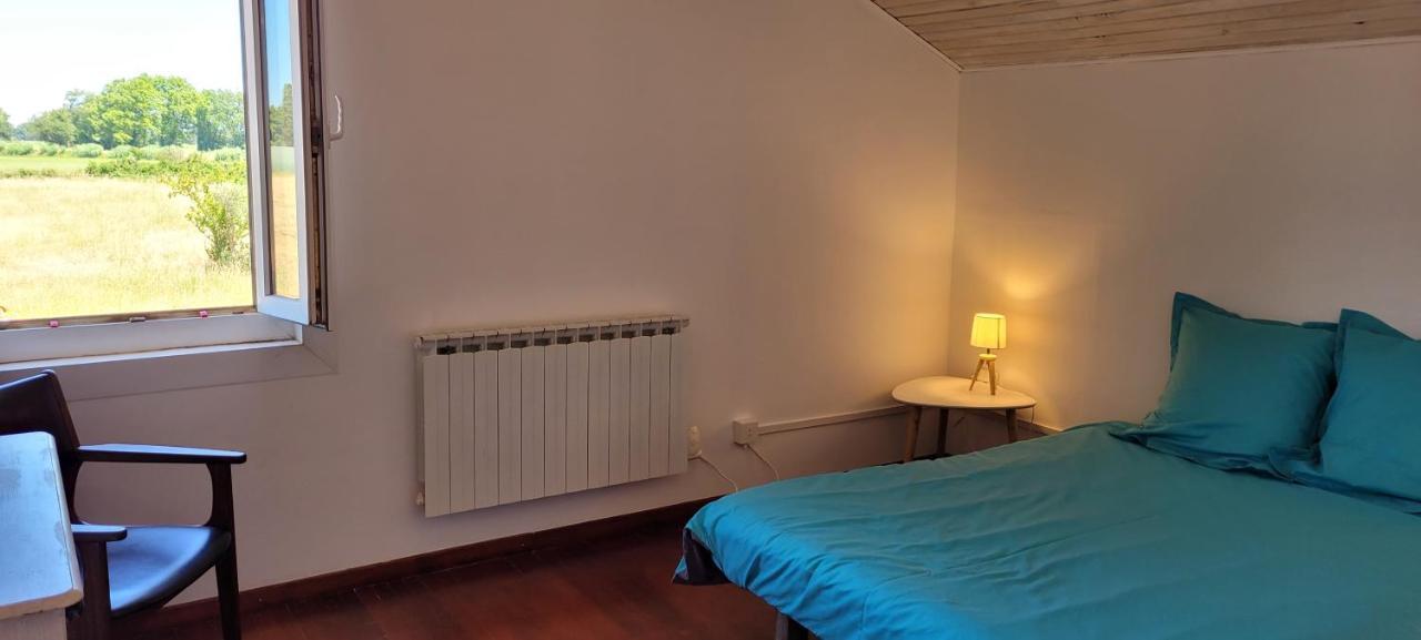 Petite Maison Refaite A Neuf Dans Mas Du 19Eme Siecle Arles Buitenkant foto